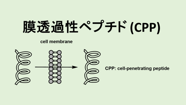 Cell Penetrating Peptide Cpp De