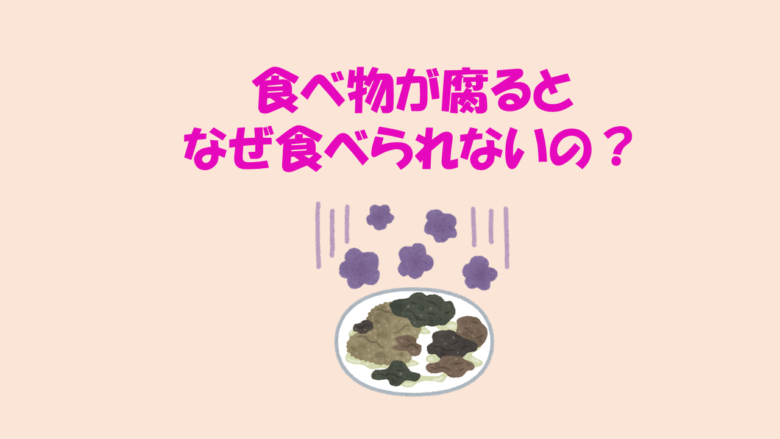 腐敗の化学！腐るとアミノ酸がなくなるって本当？ | ネットdeカガク