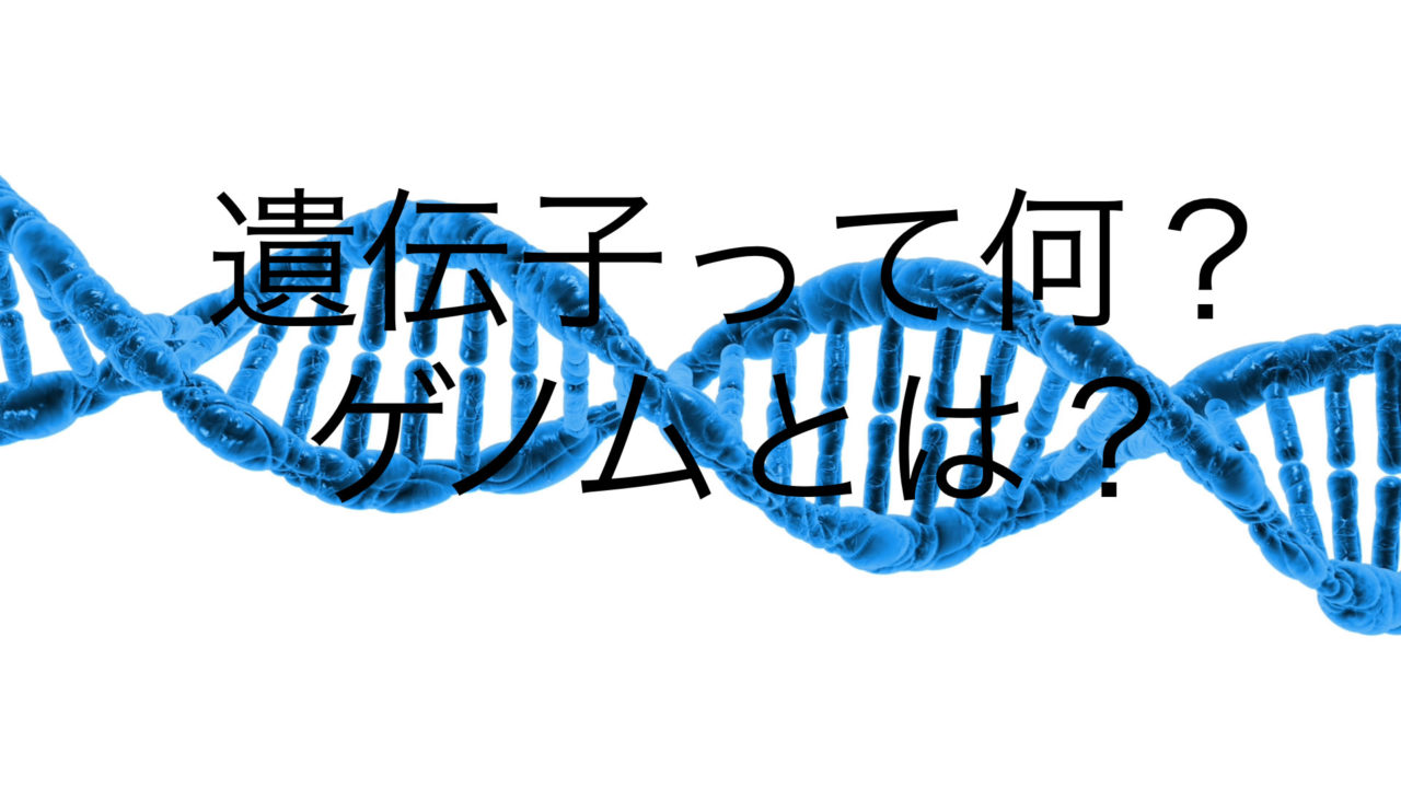 Dnaと遺伝子とゲノムの違いは？ ネットdeカガク