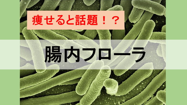 魚を食べると頭が良くなるのは本当 ネットdeカガク