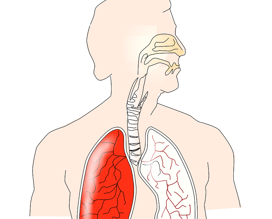 便中の痰：それは何でしょうか?