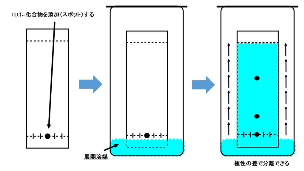 Tlcの原理と基本 薄層クロマトグラフィーって何 ネットdeカガク