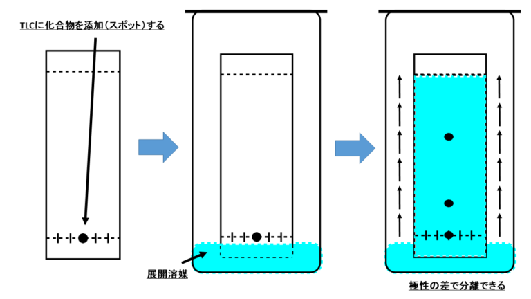 TLCの原理と基本 | 薄層クロマトグラフィーって何？ | ネットdeカガク