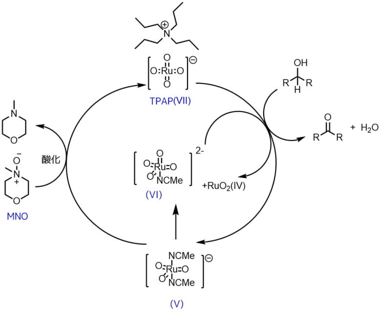 TPAP酸化の推定反応機構
