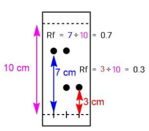rf値 わかること _ tlc rf値から分かること – Pebble Maths
