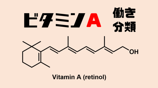 ビタミンAの働きと分類 ネットdeカガク