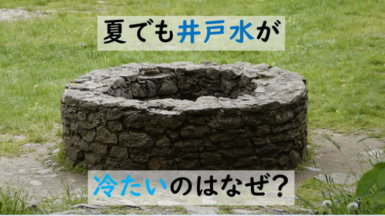 首なし鶏マイクはなぜ生きられた 嘘か本当か ネットdeカガク