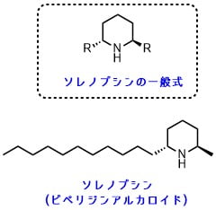 蟻に噛まれたら アリは噛んで刺す チクチク痛みの処置 ネットdeカガク