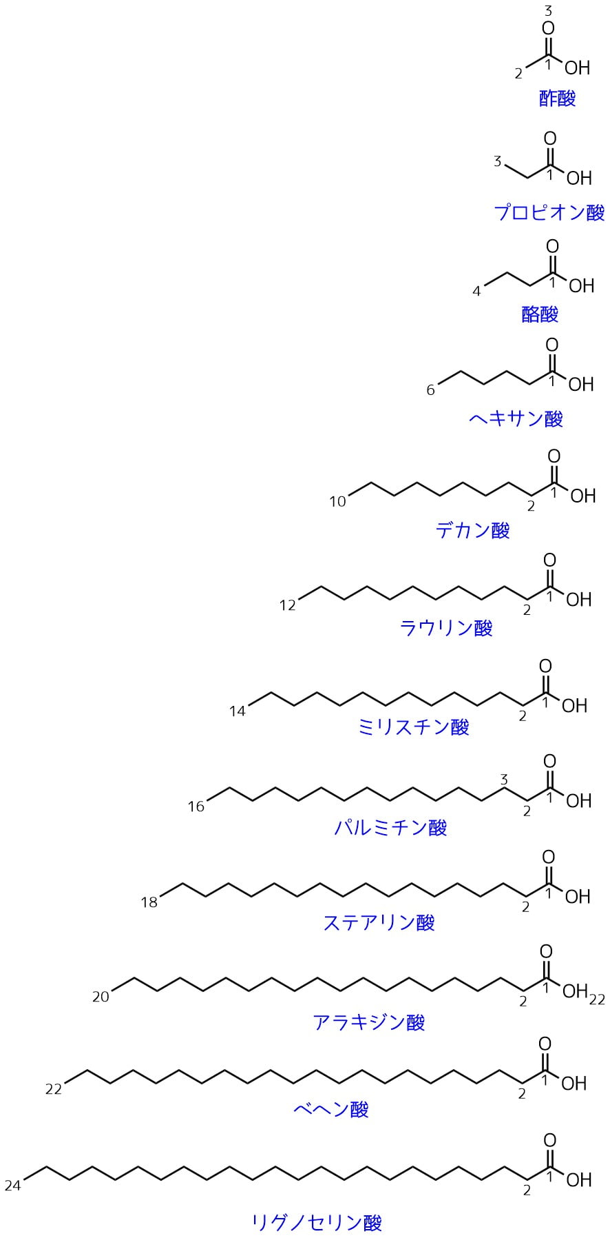 脂肪酸の種類と構造 ネットdeカガク