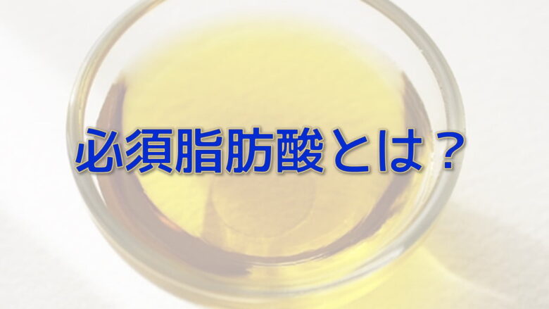 魚を食べると頭が良くなるのは本当 ネットdeカガク