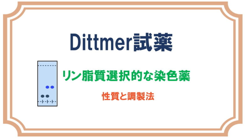Dittmer試薬でリン脂質を染色するTLCの染色液
