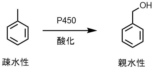 P450トルエン酸化