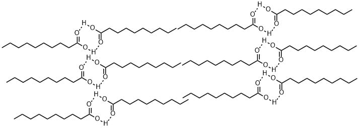 脂肪酸の二量体構脂肪酸の二量体構造