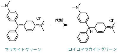 マラカイトグリーンで白点病やおぐされ病を治療 原理や毒性は ネットdeカガク