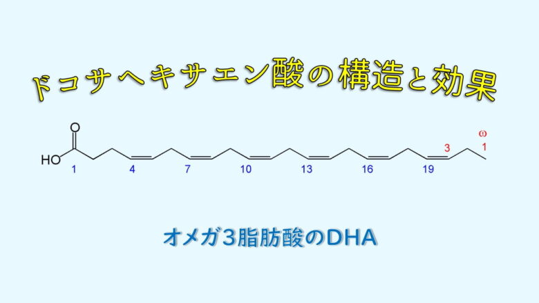 ドコサヘキサエン酸 (DHA) の構造と効果