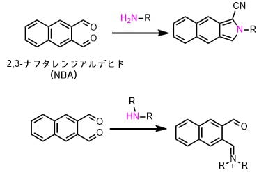 Hplcのための蛍光誘導体化 基礎とアミン編 ネットdeカガク