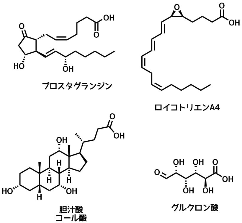 カルボン酸の生理活性分子例