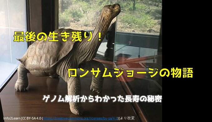 最後の生き残りロンサムジョージの物語 ネットdeカガク