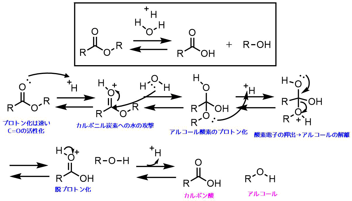 エステルの加水分解でカルボン酸を得る反応機構 塩酸や塩基の方法 ネットdeカガク