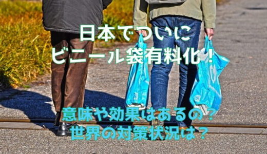 ビニール袋の有料化が日本で！意味や効果は？アメリカの対策状況は？