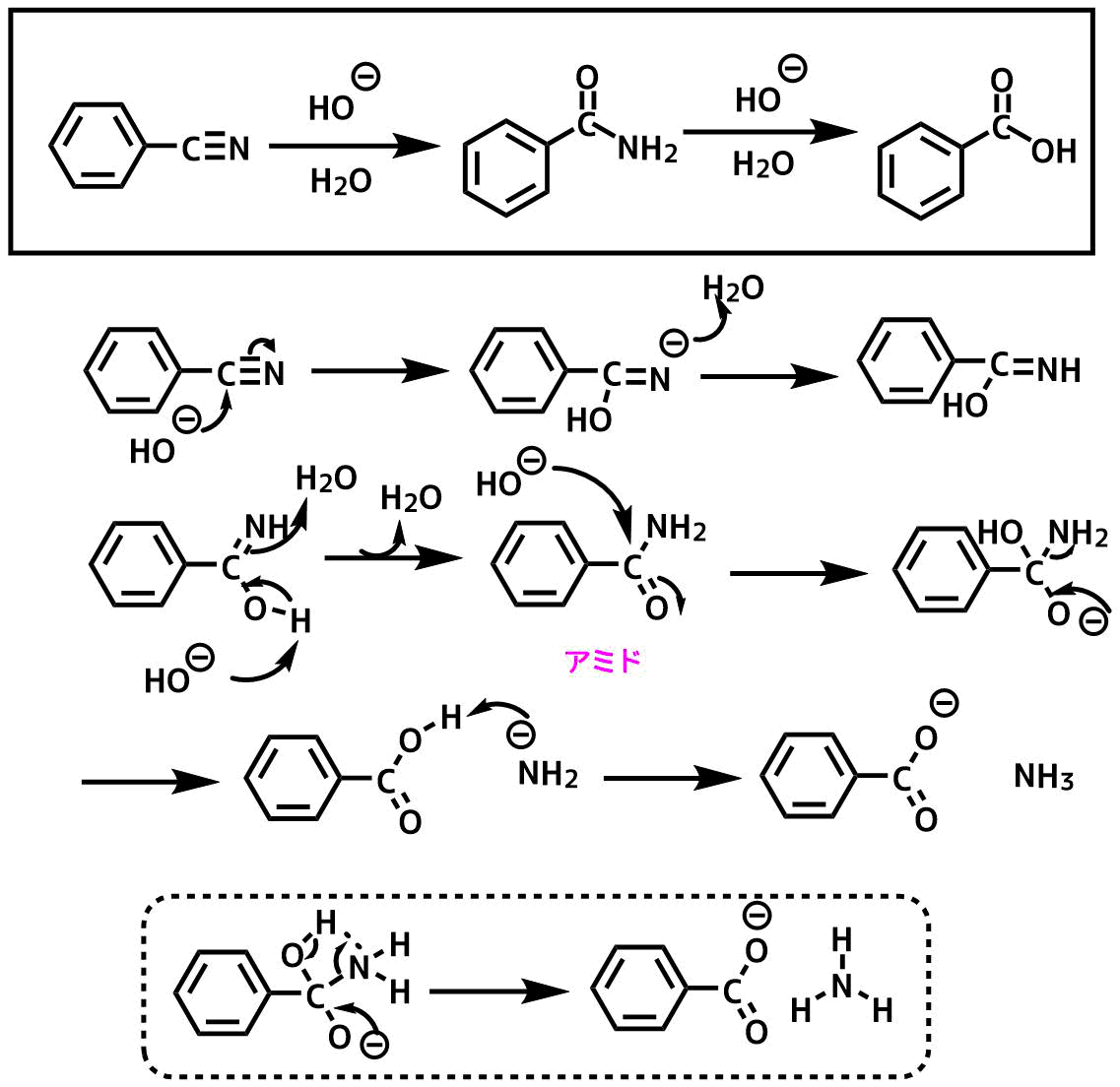 ベンゾニトリルの塩基加水分解反応機構