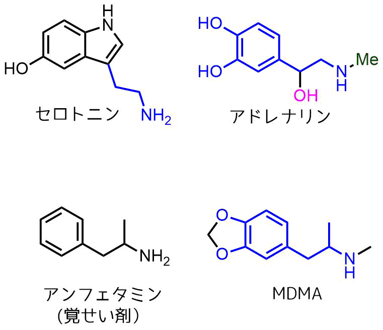 Mdmaとは何か 手を出したら危険な違法薬物の乱用はやめよう ネットdeカガク