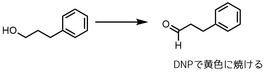 DNP陽性の化合物