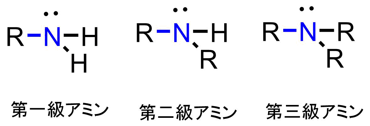 アミンとは 有機化学の基礎 ネットdeカガク