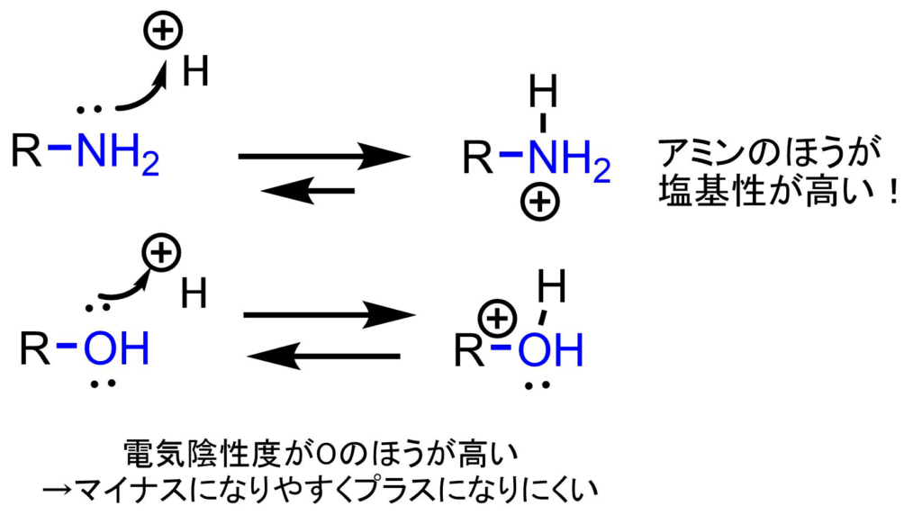 アミンとは？有機化学の基礎 ネットdeカガク