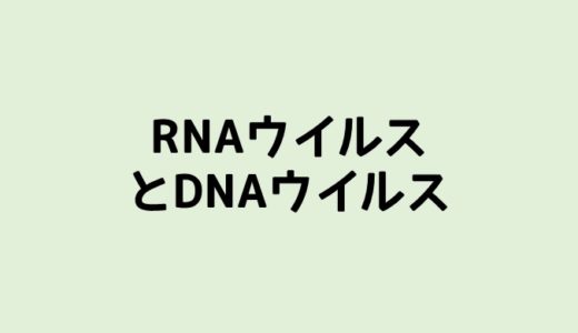 ウイルスの分類 RNAウイルスとDNAウイルス