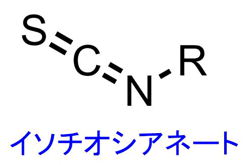 イソチオシアネートの種類と効果 効能を化学的に考察 ネットdeカガク