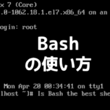 Bashでコマンドを複数 連続で実行 コマンド制御について ネットdeカガク
