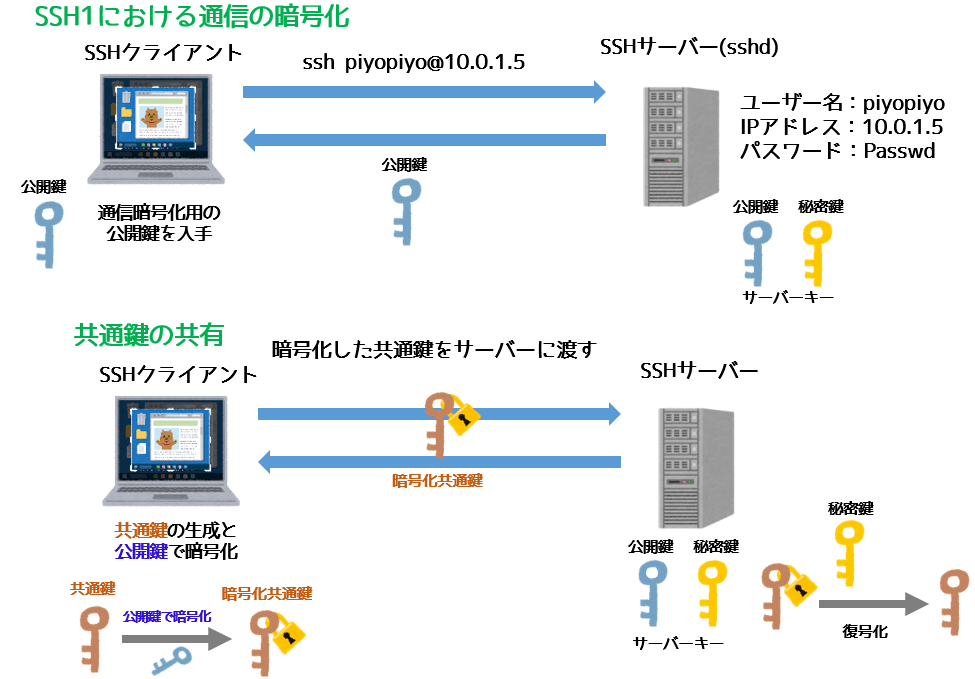 SSH1の通信暗号化法