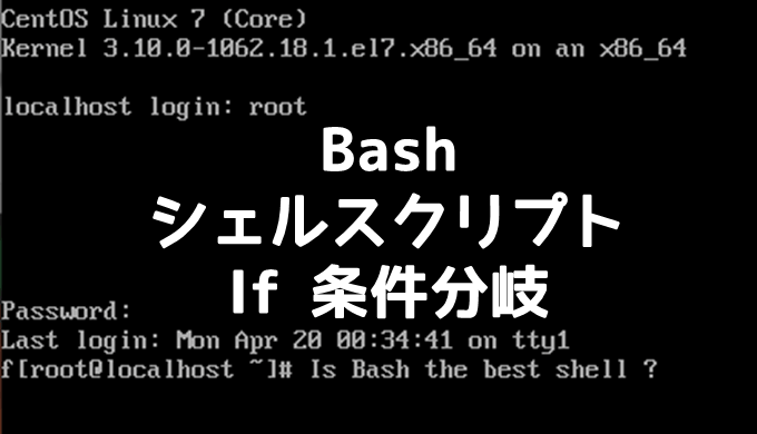 Bashでシェルスクリプト If文で条件分岐 ネットdeカガク