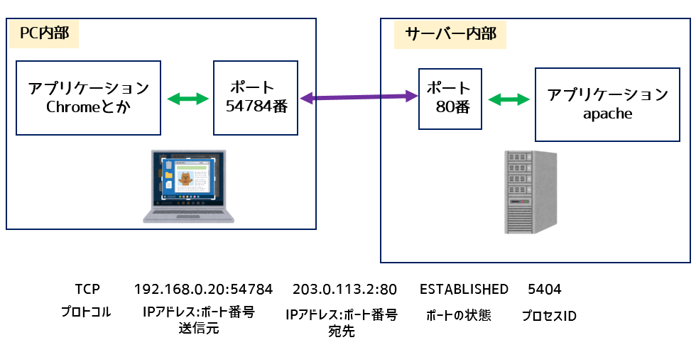 Netstatコマンドでポートに紐づいたプロセスを調べよう ネットdeカガク
