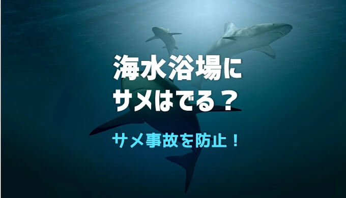 海水浴場でサメは出る 海水浴の事故について考える ネットdeカガク