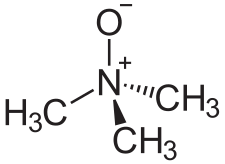 トリメチルアミン-N-オキシドの構造