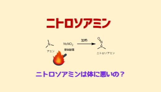 吸引ろ過と自然ろ過のやり方と違い ネットdeカガク