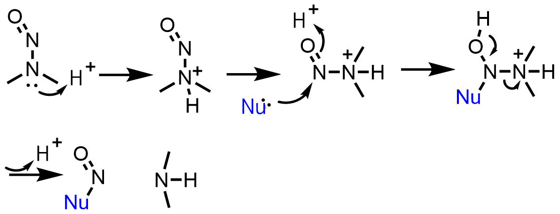 ニトロソアミンは酸性溶液中、求核試薬と反応して脱アミン化する
