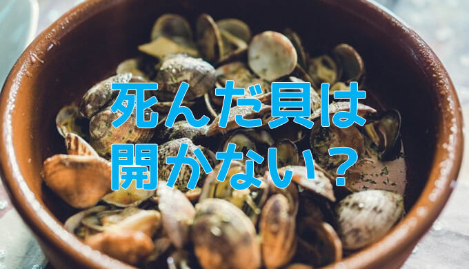 死んだ貝は開かないのは本当 ネットdeカガク