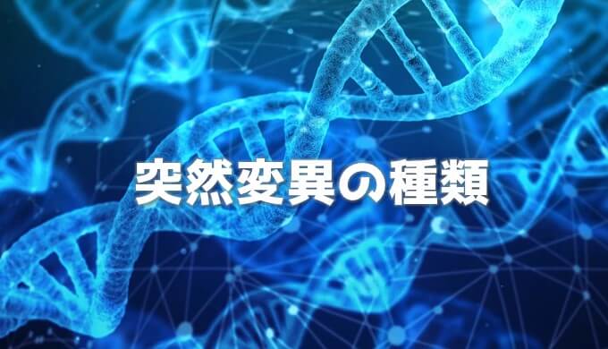 突然変異とは 突然変異の種類 ネットdeカガク